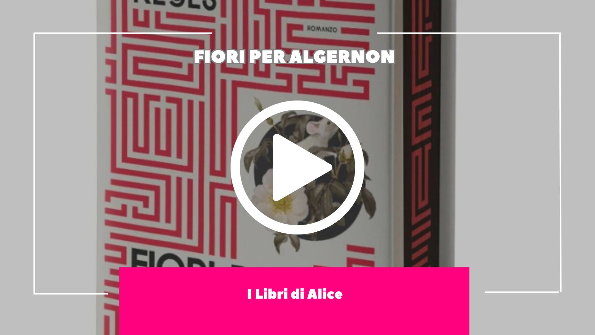 Una lettura obbligata che ti resta dentro per molto tempo. Un uomo e un topo; due vite degne di rispetto. Fiori per Algernon di Daniel Keys, Recensione.