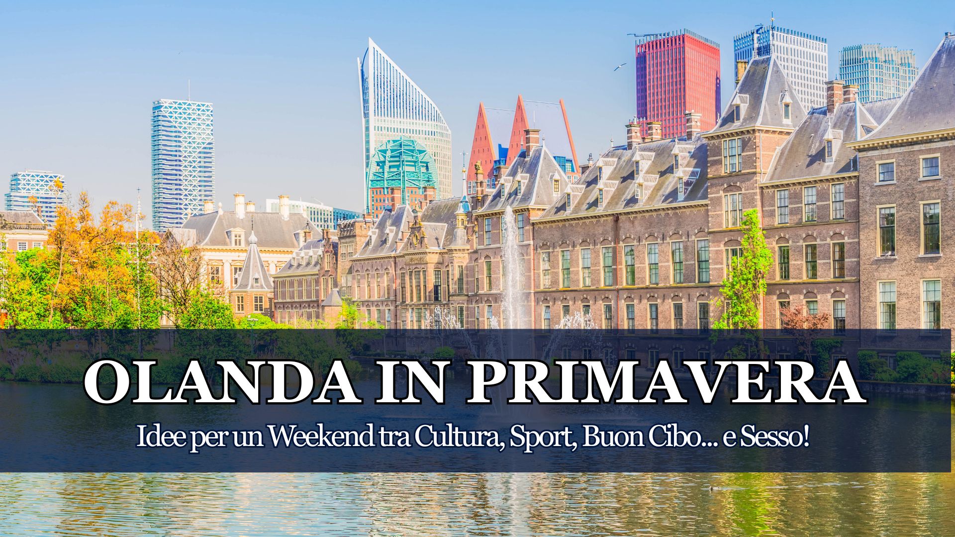 Olanda in primavera tra tulipani, biciclette e canali: la guida completa per un weekend indimenticabile tra Amsterdam, Delft e Rotterdam (anche Piccante)