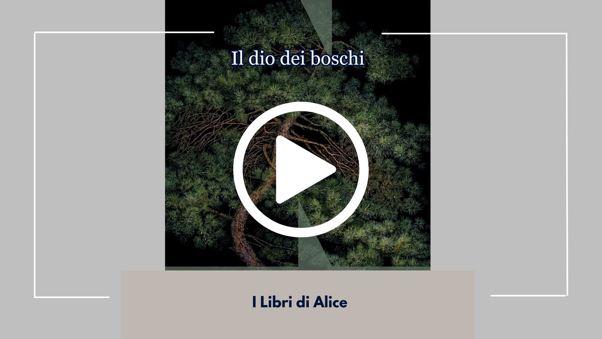 Nuova Recensione dal Nostro Book Club "I Libri di Alice", Se ti perdi, siediti e mettiti a urlare, Il Dio Dei Boschi di Liz Moore