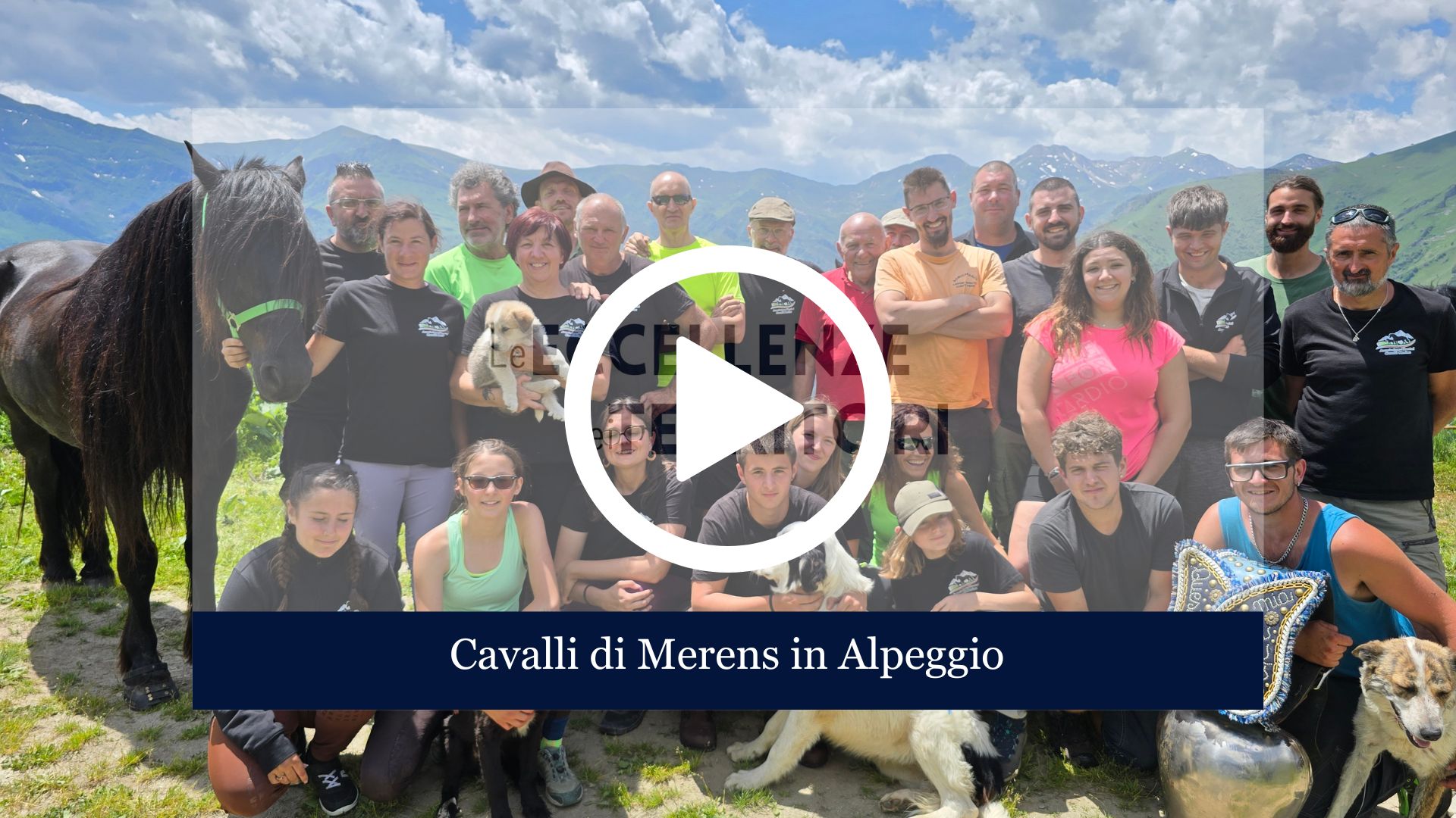 Nella Nuova Puntata di "Le Eccellenze Dei Territori" vi portiamo in alta Montagna, insieme ai Cavalli di Merens e alle Mucche di Tallone Farm per un viaggio nella Tradizione