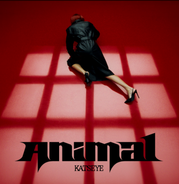 Classifica Musica: il Nuovo di Charli XCX, Tante Novità, Grandi Successi e Molto Altro 13 KATSEYE-ANIMAL